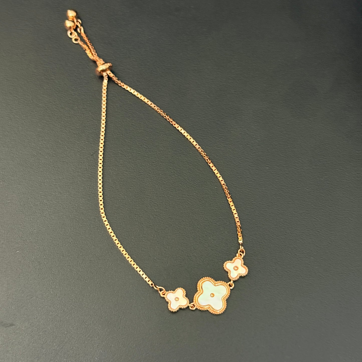 Silver Ladies Bracelet Adjustable Push lock DS05 RG