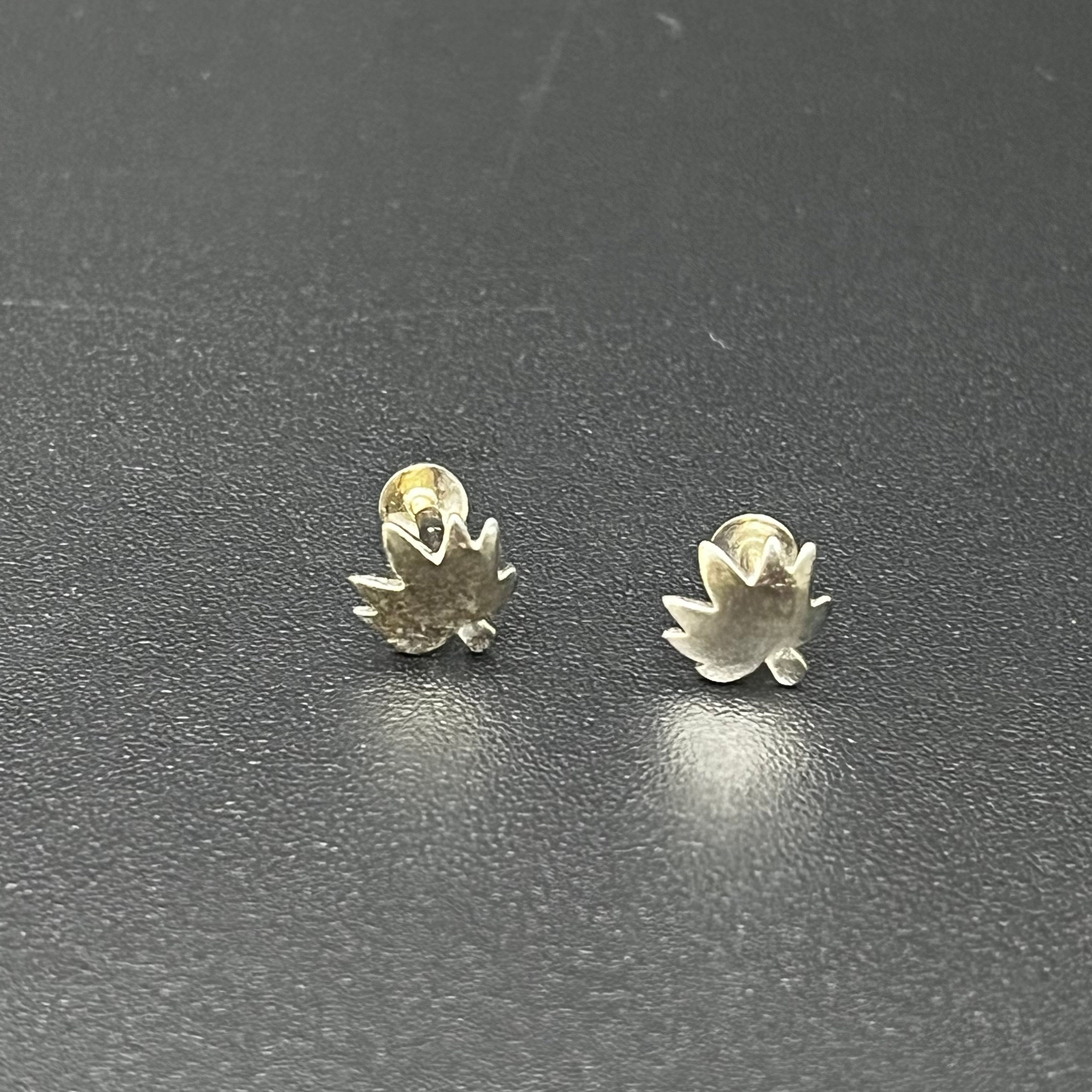 Silver Studs 01