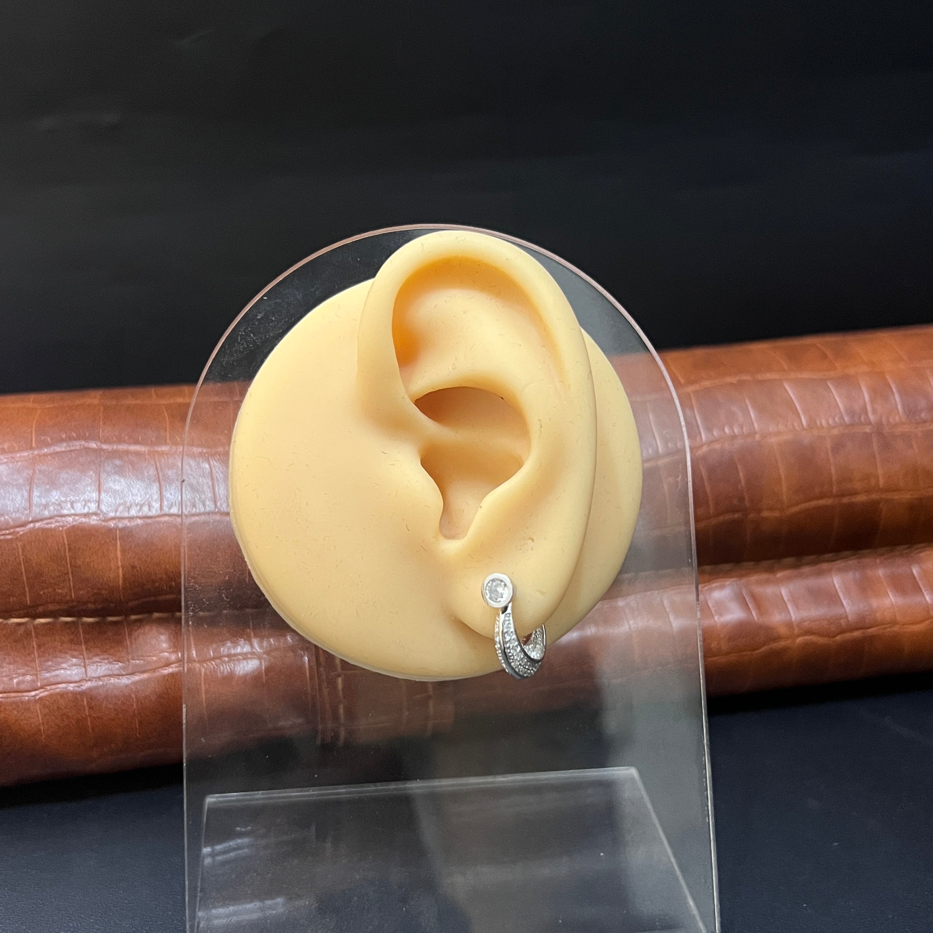 Silver Mens Earring rajput DS01 S