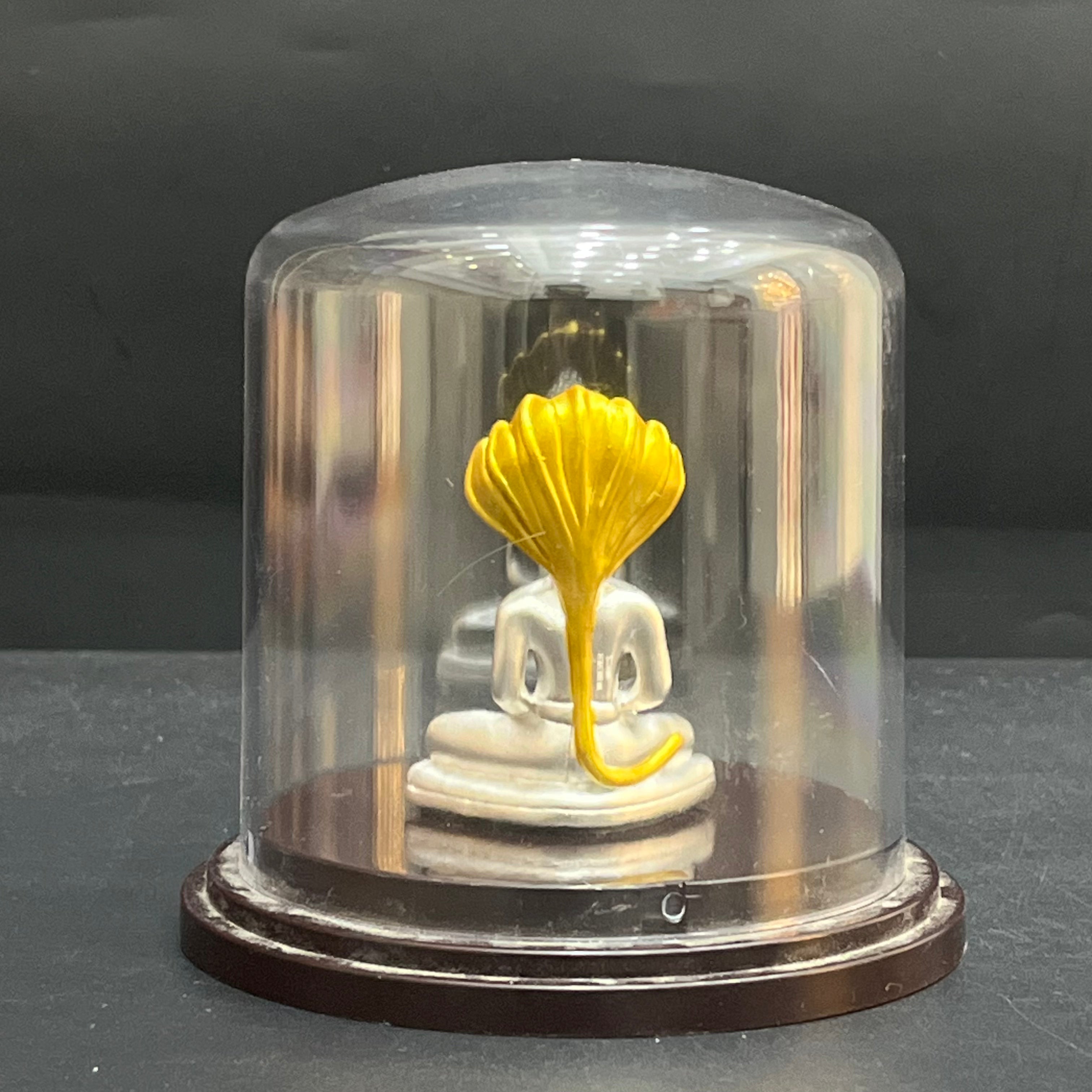 Silver Idol Mahavir Swami Ji 925
