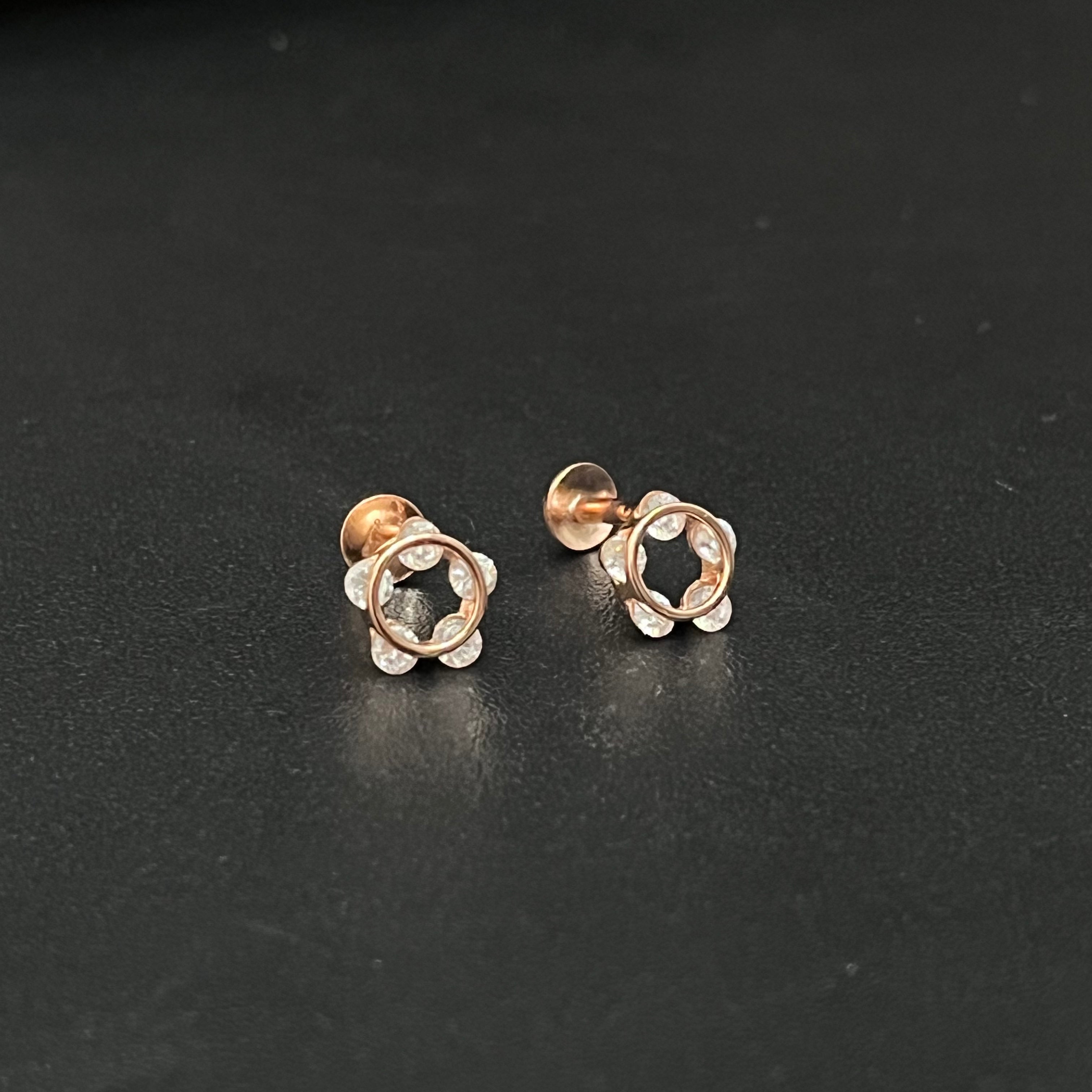 Silver Ladies Stud Circle Stones RG