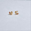 Gold Studs Dolphin