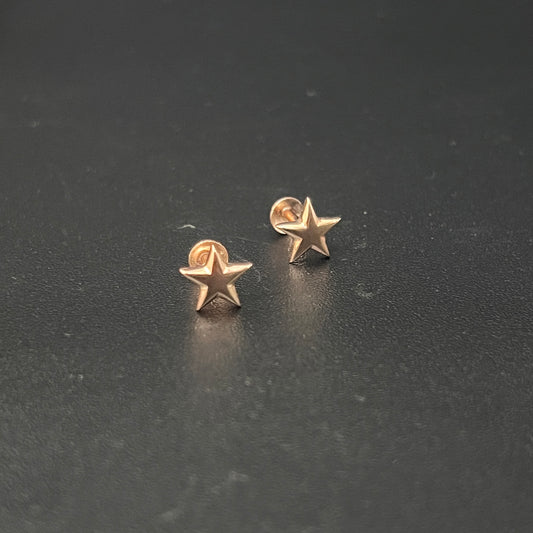 Silver Rosegold Studs Star